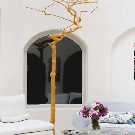 Tharroe Of Mykonos Boutique Hotel Mykonos Town